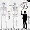 7.9ft/240cm Halloween Skeleton Full Body Outdoor Yard Skeleton with Movable Joints Realistic Poseable Human Bones Skeleton for Halloween Lawn Party Prop (7.9ft)